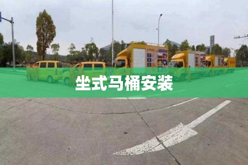 坐式马桶安装