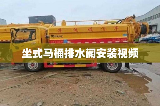 坐式马桶排水阀安装视频