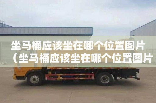 坐马桶应该坐在哪个位置图片（坐马桶应该坐在哪个位置图片大全）
