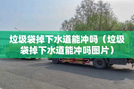 垃圾袋掉下水道能冲吗（垃圾袋掉下水道能冲吗图片）