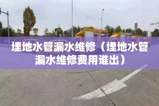 埋地水管漏水维修（埋地水管漏水维修费用谁出）