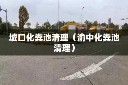 城口化粪池清理（渝中化粪池清理）