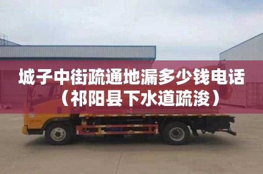城子中街疏通地漏多少钱电话（祁阳县下水道疏浚）