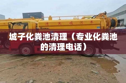 城子化粪池清理（专业化粪池的清理电话）