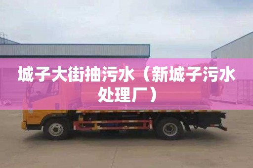 城子大街抽污水（新城子污水处理厂）