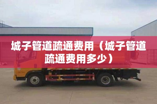 城子管道疏通费用（城子管道疏通费用多少）