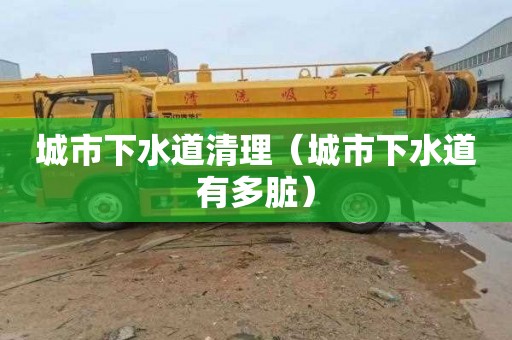 城市下水道清理（城市下水道有多脏）