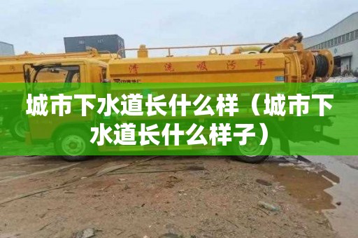 城市下水道长什么样（城市下水道长什么样子）