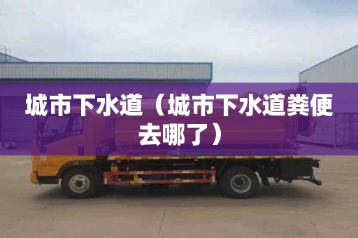 城市下水道（城市下水道粪便去哪了）