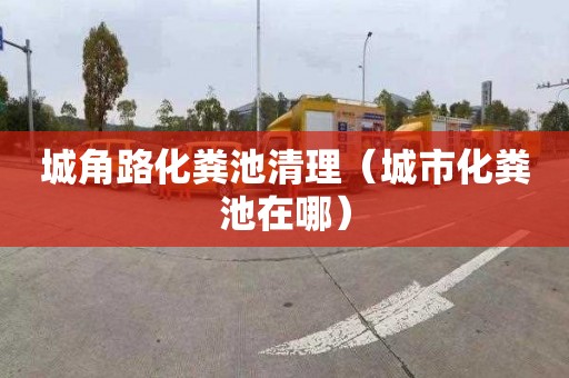 城角路化粪池清理（城市化粪池在哪）