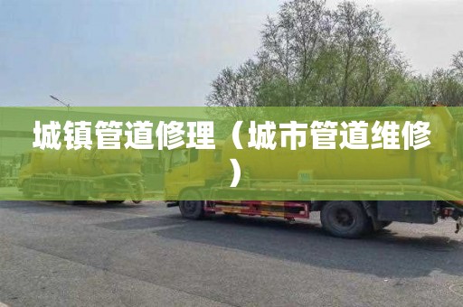 城镇管道修理（城市管道维修）