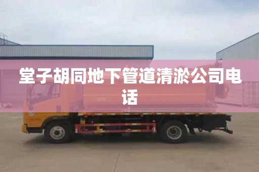 堂子胡同地下管道清淤公司电话