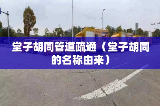 堂子胡同管道疏通（堂子胡同的名称由来）
