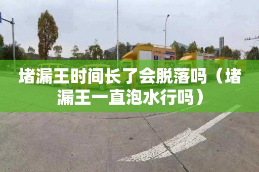 堵漏王时间长了会脱落吗（堵漏王一直泡水行吗）