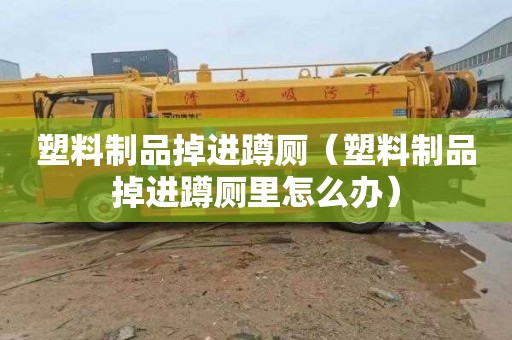 塑料制品掉进蹲厕（塑料制品掉进蹲厕里怎么办）
