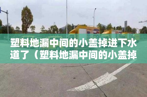 塑料地漏中间的小盖掉进下水道了（塑料地漏中间的小盖掉进下水道了怎么办）