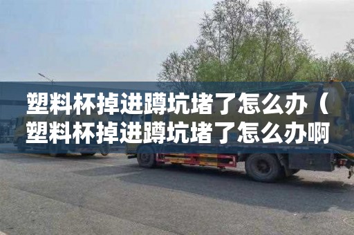 塑料杯掉进蹲坑堵了怎么办（塑料杯掉进蹲坑堵了怎么办啊）