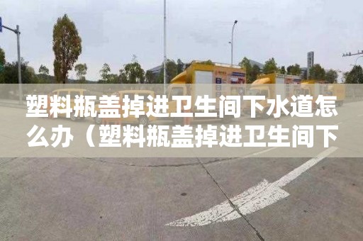 塑料瓶盖掉进卫生间下水道怎么办（塑料瓶盖掉进卫生间下水道怎么办啊）