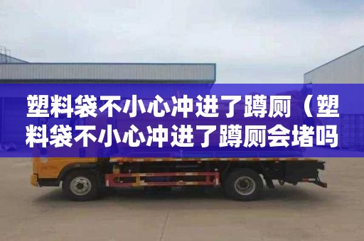 塑料袋不小心冲进了蹲厕（塑料袋不小心冲进了蹲厕会堵吗）