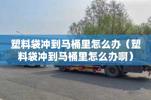 塑料袋冲到马桶里怎么办（塑料袋冲到马桶里怎么办啊）