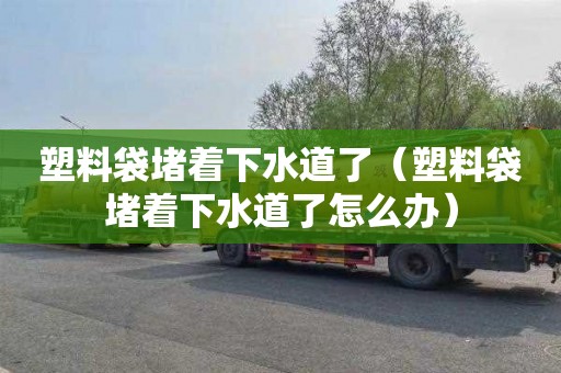 塑料袋堵着下水道了（塑料袋堵着下水道了怎么办）