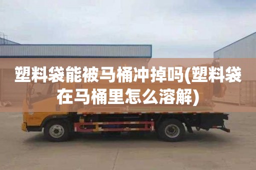 塑料袋能被马桶冲掉吗(塑料袋在马桶里怎么溶解)
