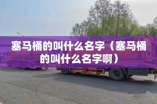 塞马桶的叫什么名字（塞马桶的叫什么名字啊）