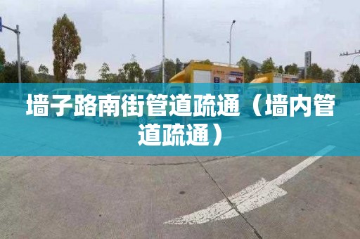 墙子路南街管道疏通（墙内管道疏通）