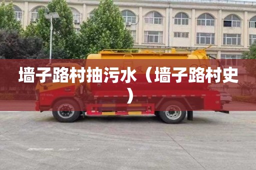 墙子路村抽污水（墙子路村史）