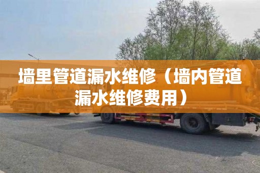 墙里管道漏水维修（墙内管道漏水维修费用）