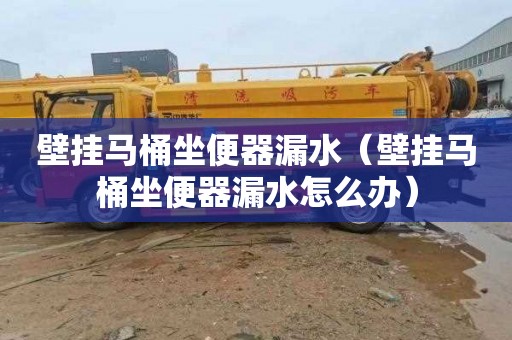 壁挂马桶坐便器漏水（壁挂马桶坐便器漏水怎么办）