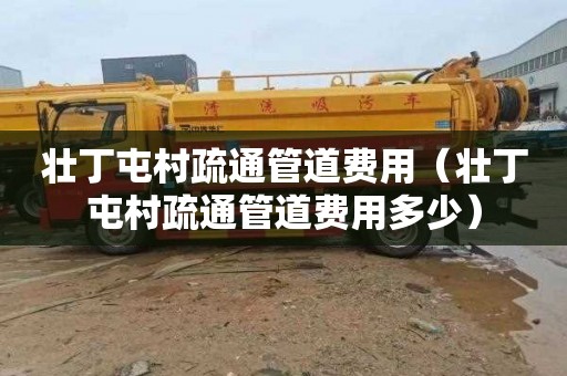 壮丁屯村疏通管道费用（壮丁屯村疏通管道费用多少）
