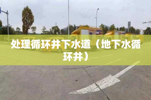处理循环井下水道（地下水循环井）