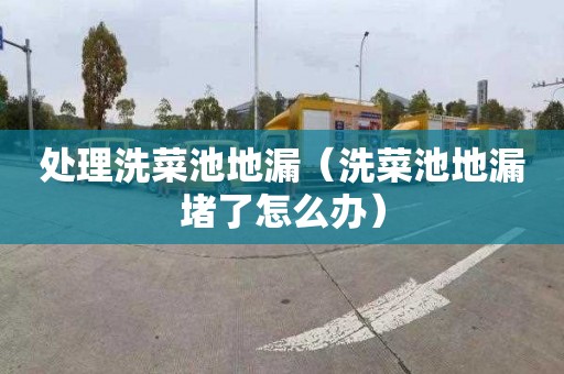 处理洗菜池地漏（洗菜池地漏堵了怎么办）