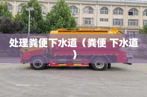处理粪便下水道（粪便 下水道）