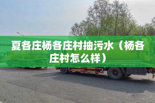 夏各庄杨各庄村抽污水（杨各庄村怎么样）