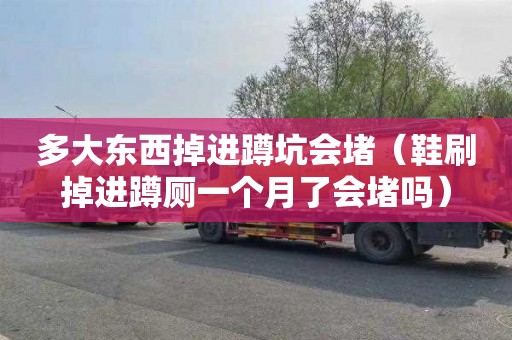 多大东西掉进蹲坑会堵（鞋刷掉进蹲厕一个月了会堵吗）