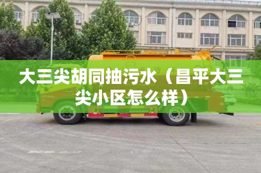 大三尖胡同抽污水（昌平大三尖小区怎么样）