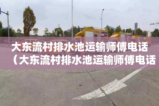 大东流村排水池运输师傅电话（大东流村排水池运输师傅电话是多少）