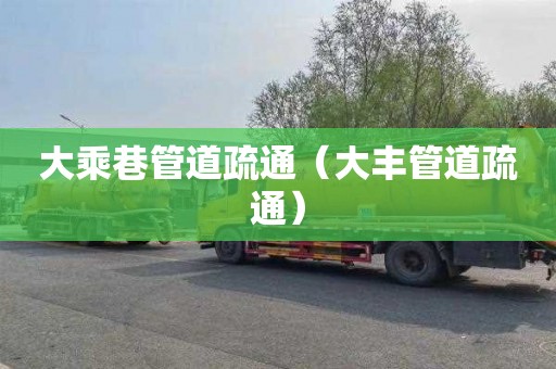 大乘巷管道疏通（大丰管道疏通）