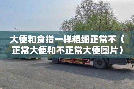 大便和食指一样粗细正常不（正常大便和不正常大便图片）
