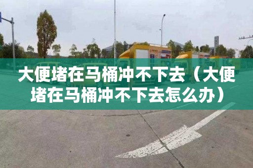 大便堵在马桶冲不下去（大便堵在马桶冲不下去怎么办）