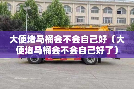 大便堵马桶会不会自己好（大便堵马桶会不会自己好了）