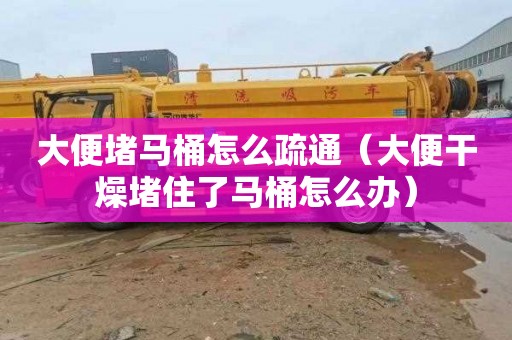 大便堵马桶怎么疏通（大便干燥堵住了马桶怎么办）