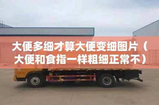 大便多细才算大便变细图片（大便和食指一样粗细正常不）