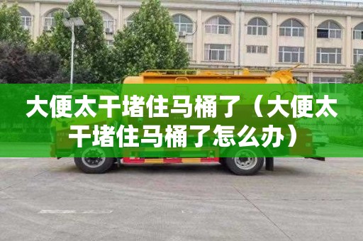 大便太干堵住马桶了（大便太干堵住马桶了怎么办）