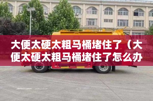 大便太硬太粗马桶堵住了（大便太硬太粗马桶堵住了怎么办）