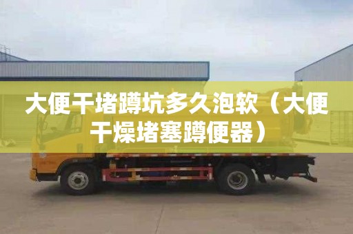 大便干堵蹲坑多久泡软（大便干燥堵塞蹲便器）