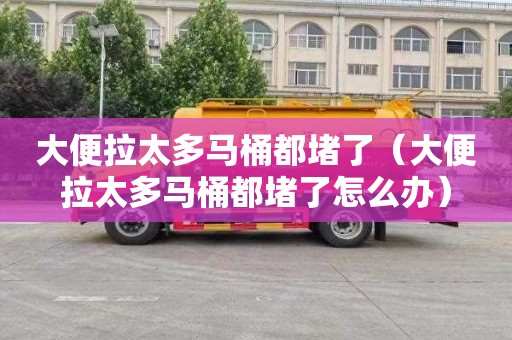 大便拉太多马桶都堵了（大便拉太多马桶都堵了怎么办）