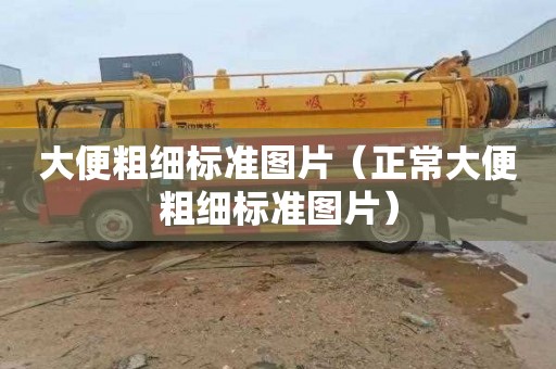 大便粗细标准图片（正常大便粗细标准图片）